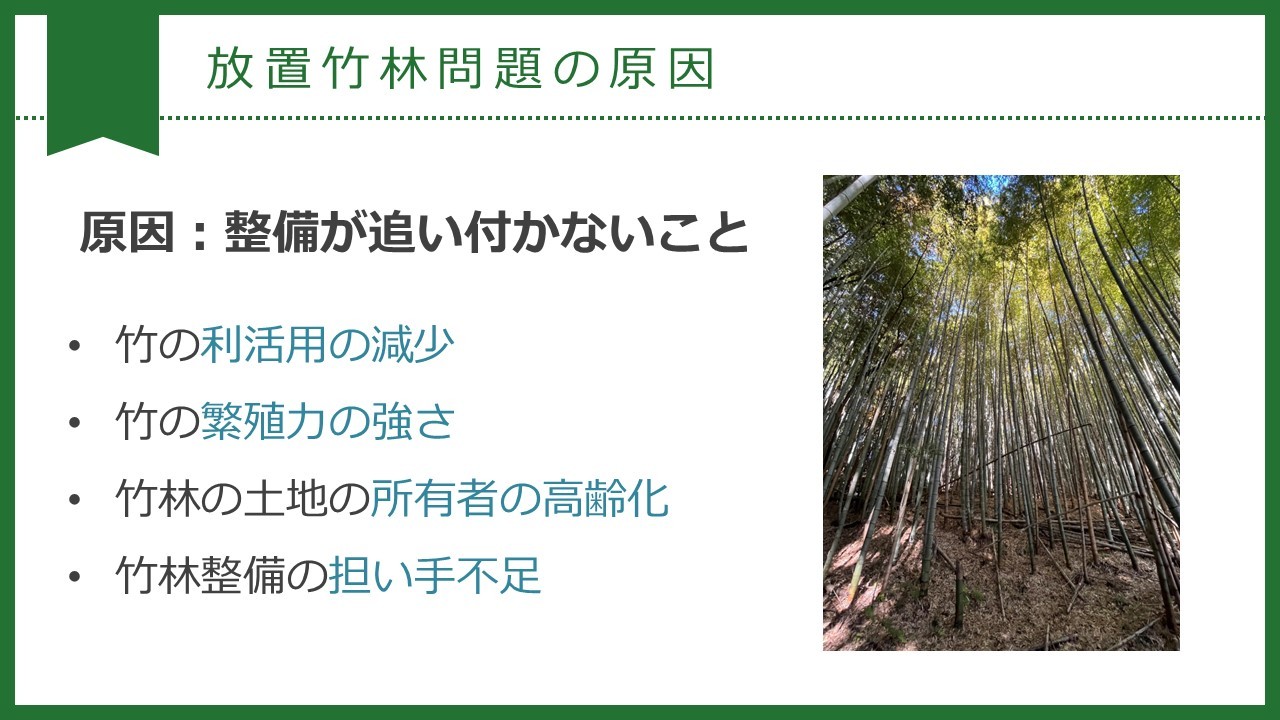 大学生とSDGsに貢献！イベント開催や竹の利活用を通して放置竹林問題の解決へ！