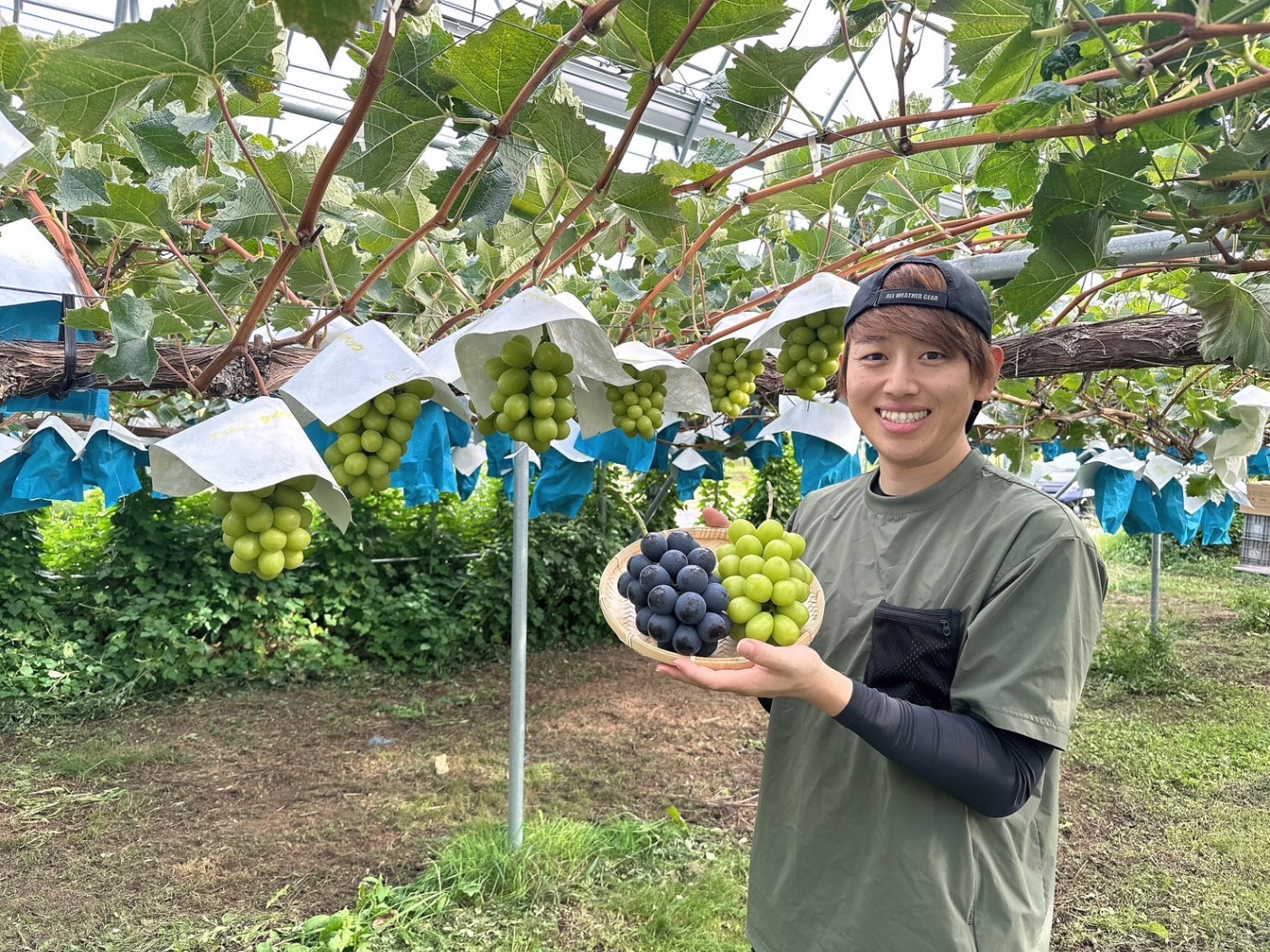 規格外野菜を使ったアートプロジェクト始動！”野菜の規格外かるた”